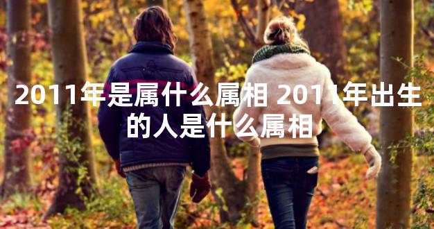 2011年是属什么属相 2011年出生的人是什么属相